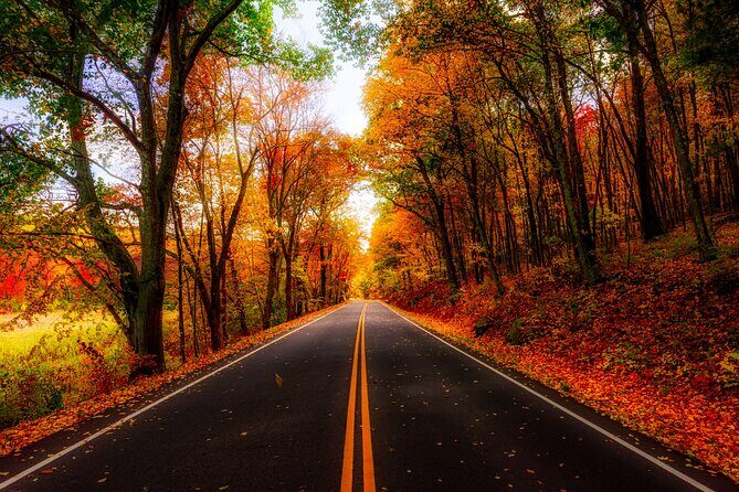 Autumn Romance Escape: A Nashville Couples' Getaway - Practical Insights for Travelers