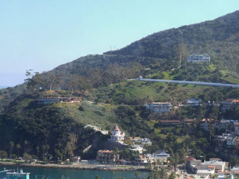 Avalon, Catalina Island: 2-Hour Inside Adventure Tour - The Bumps in the Road: Considerations for Travelers