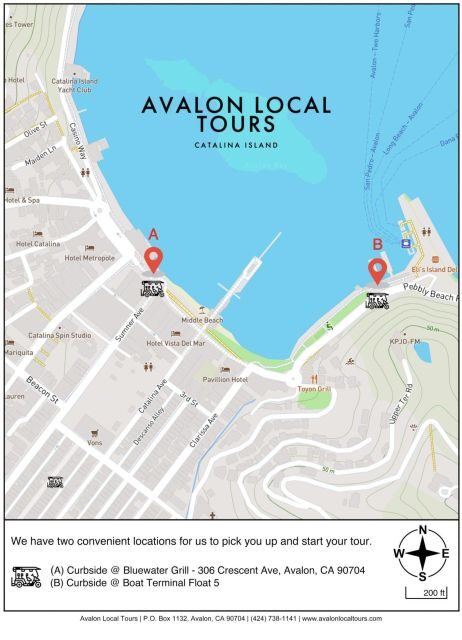 Avalon: Private Golf Cart Tour with Driver-Guide - Detailed Breakdown of the Tour Experience