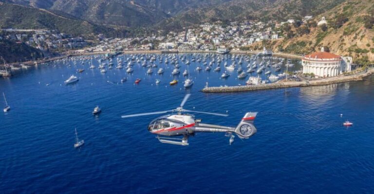 Avalon: Santa Catalina Island Aerial Helicopter Tour - What Makes This Tour Special
