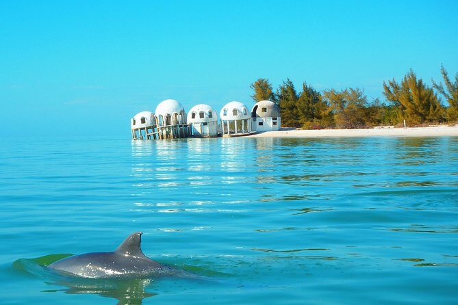 Avi's Premium Dolphin Tour by Jet Ski - The Heart of the Tour: Wildlife and Scenery