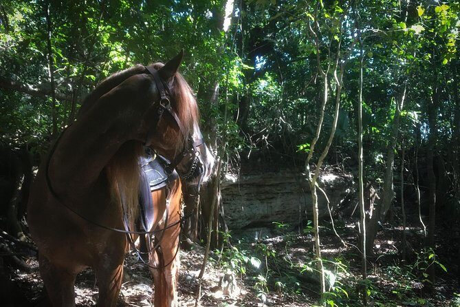 Award-winning Classic Horseback Ride (max. 6 riders) - The Value of the Experience