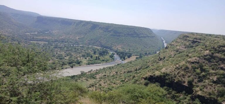 "Awash National Park Safari Experience" - Final Thoughts