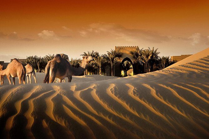 Bab al Shams Dinner with Desert Safari - A Closer Look at the Dubai Desert Experience