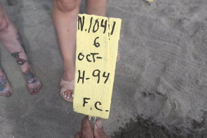Baby Sea Turtle Releasing Sightseeing Tour with Luis de la Maza - What Makes This Tour Stand Out?