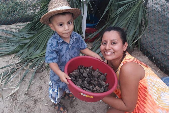 Baby Turtle Release in Coyote Escobilla Beach - Deep Dive Into the Itinerary and Details
