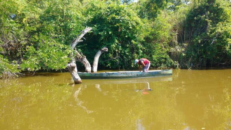 .Baby Turtle Release, Lagoon Boat Ride, and Crocodile Farm - Practical Tips for Travelers