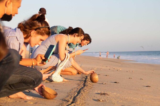 Baby Turtle Release Tour + Pick up + Courtesy in Puerto Escondido! - Final Thoughts