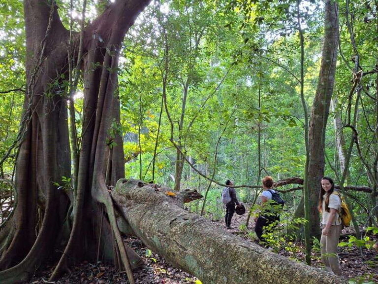 Bacalar: Calakmul Ruins Day Trip with a Stop In The Jungle - What’s Included and What’s Not