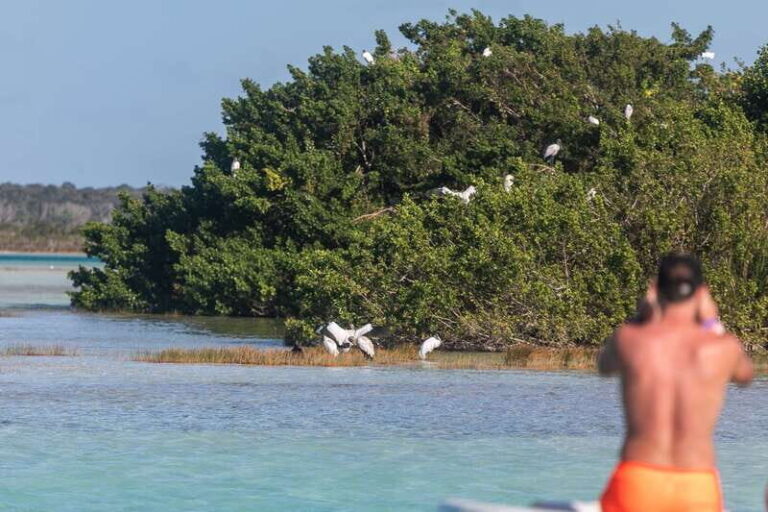 Bacalar: Full Day Kayak Rental in the Lagoon of Seven Colors - Equipment and Condition