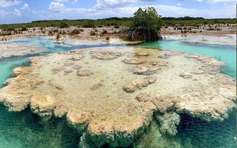 Bacalar: Magnificent Bacalar Lagoon Exclusive Boat Tour - What You’ll See and Do