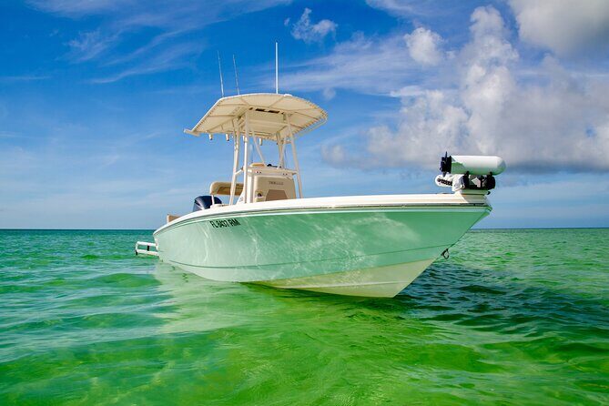 Backcountry Half Day Fishing Key West - The Fish and Wildlife You Might Encounter