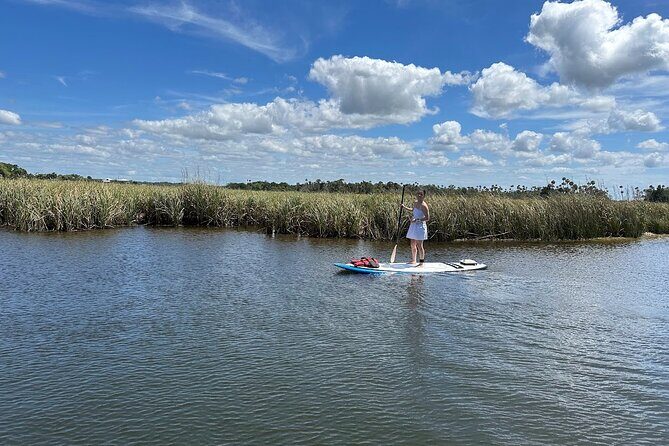 Backland Alligator Electric Paddle Tour - FAQ