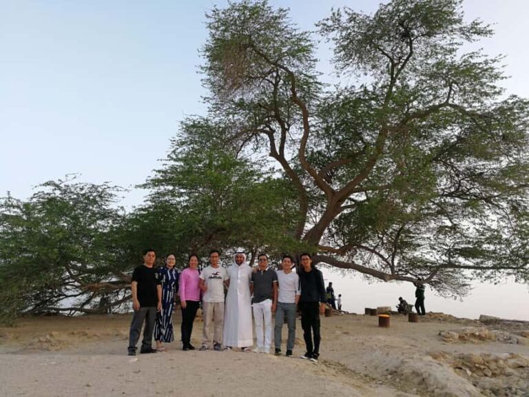 Bahrain in a Day from City Lights to Desert Landscapes - The Value of the Tour