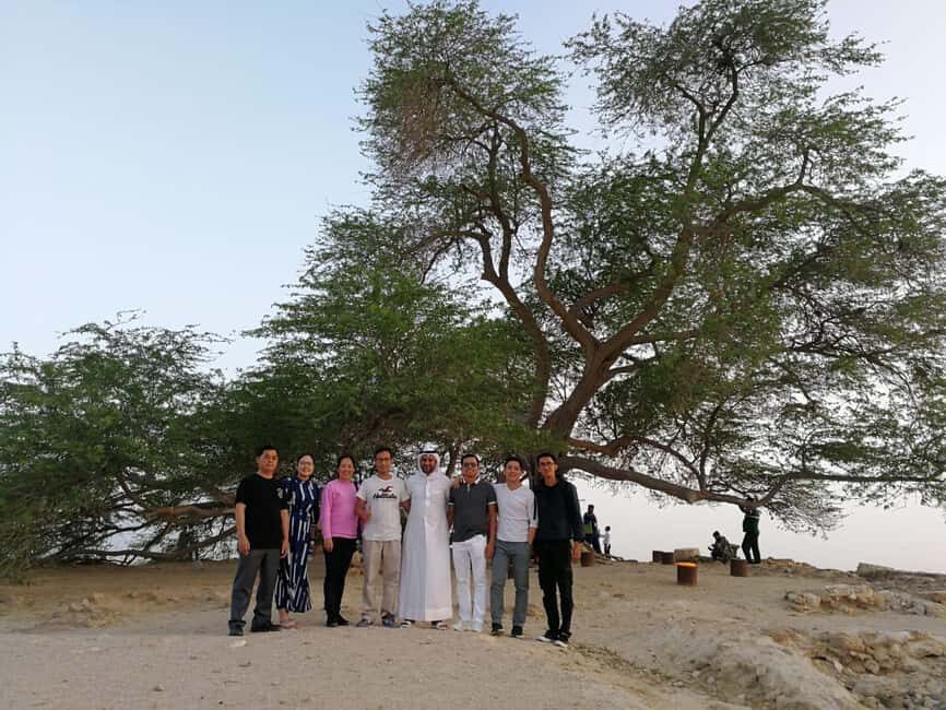 Bahrain in a Day from City Lights to Desert Landscapes