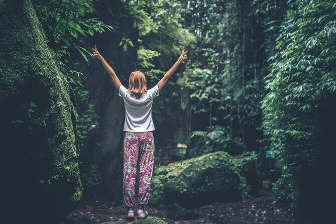 Bainbridge Island Serenity Forest Hike & Cultural Landmarks Tour - Final Thoughts