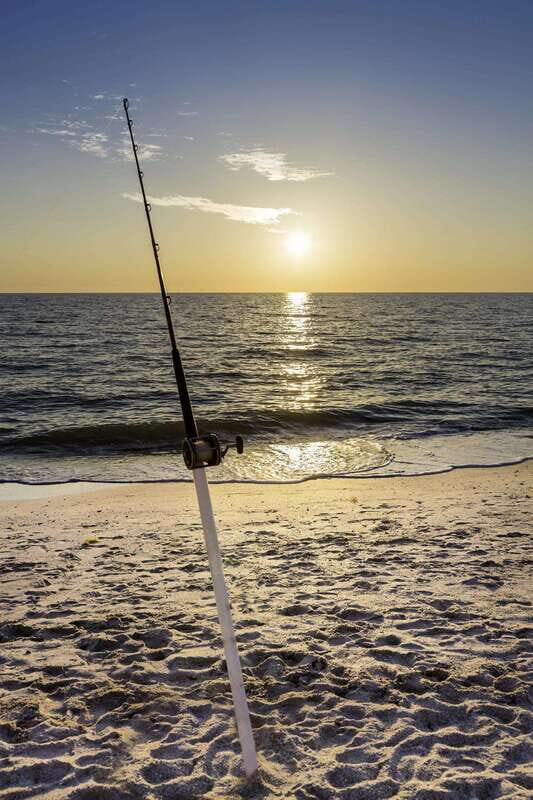Baja: Adventure Shore Fishing - Explore La Ventana on ATV - What Makes This Tour Stand Out?