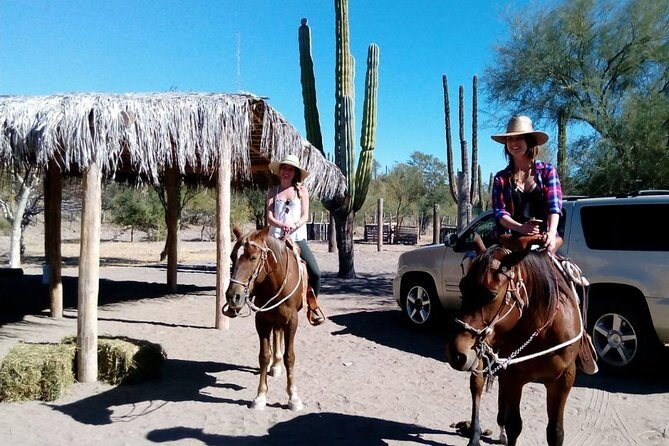 Baja Desert Horseback Riding Tour - Practical Details and Comfort