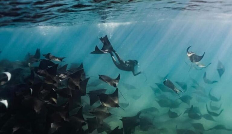 Baja Sur 4 days / 3 nights - What to Expect Day-by-Day