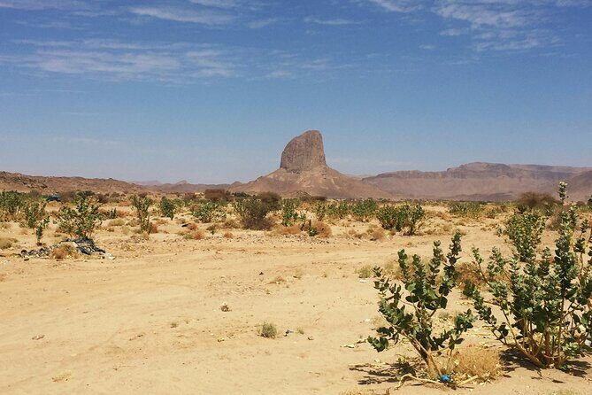 Baja UTV Adventure Canyon Exploration and Tequila Tasting - Who Will Love This Tour?
