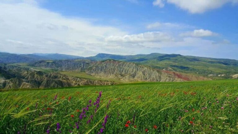 Baku: Caspian Off-Road 4x4 Adventure Tour - Who Will Love This Tour?