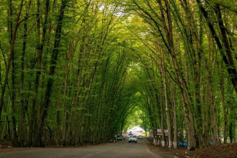 Baku: Khizi-Shahdag Tour with Resort Visit - Practical Details and What to Expect