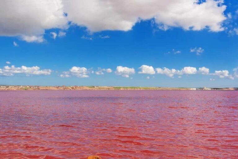 Baku: Pink Lake, Candy Cane & Beshbarmag Mountains - Practical Details and What to Expect