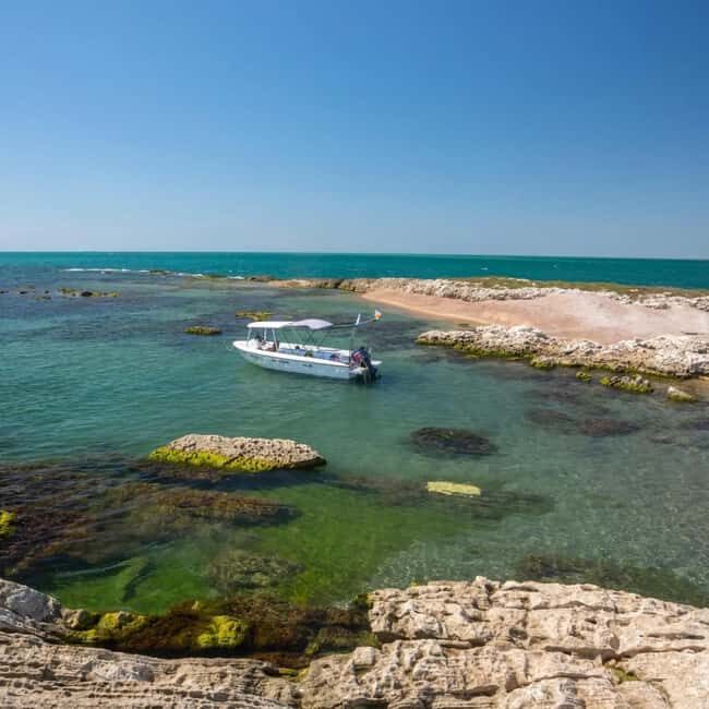 Baku: Snorkeling Tour at Gurgan Lighthouse - Detailed Breakdown of the Experience