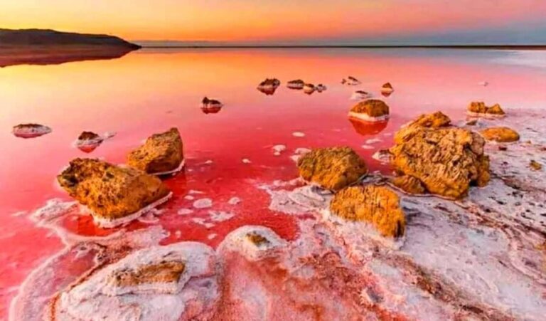Baku: Sumgait City, Pink Lake & Vibrant Green Bazar Visit - What Makes This Tour Stand Out