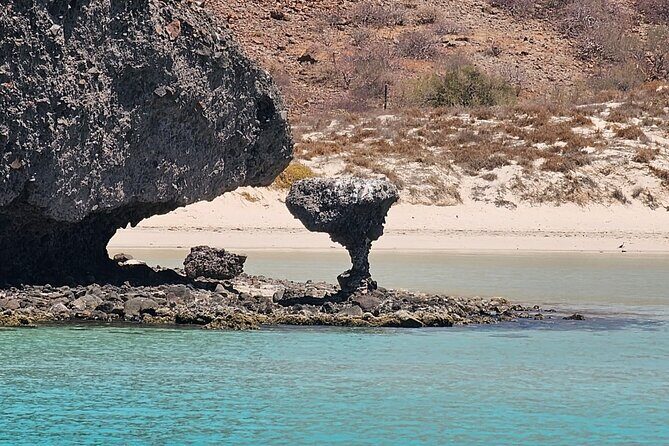 Balandra Bay Private Snorkeling and Sea Lions - What Do Travelers Say?