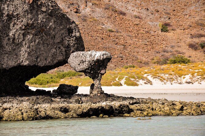 Balandra Beach Escape with Snorkeling and Wildlife Watching - Who Would Enjoy This Tour?