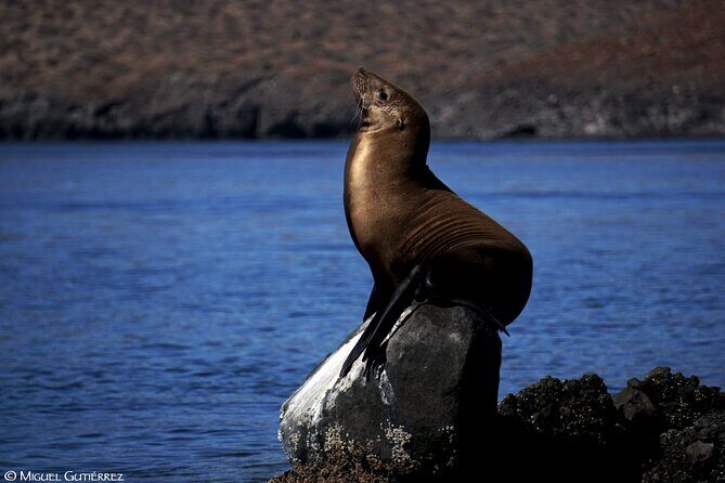 Balandra Private Boat Tour - The Experience: What You Can Expect