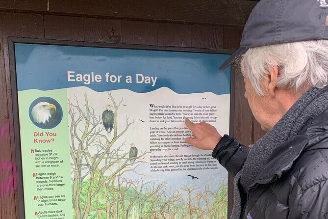 Bald Eagles Nesting Area Tour at Skagit River - Who Should Consider This Tour?