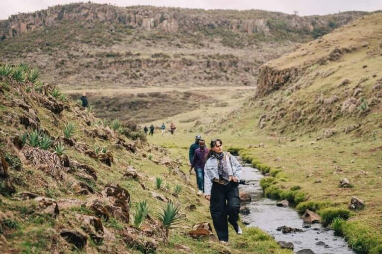 Bale Mountains: 3-Day Guided Trek with Wildlife and Camping - Final Thoughts: Is This the Right Trek for You?