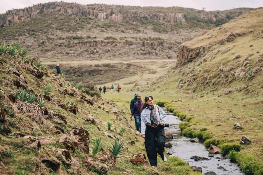 Bale Mountains: 3-Day Guided Trek with Wildlife and Camping - Final Thoughts: Is This the Right Trek for You?