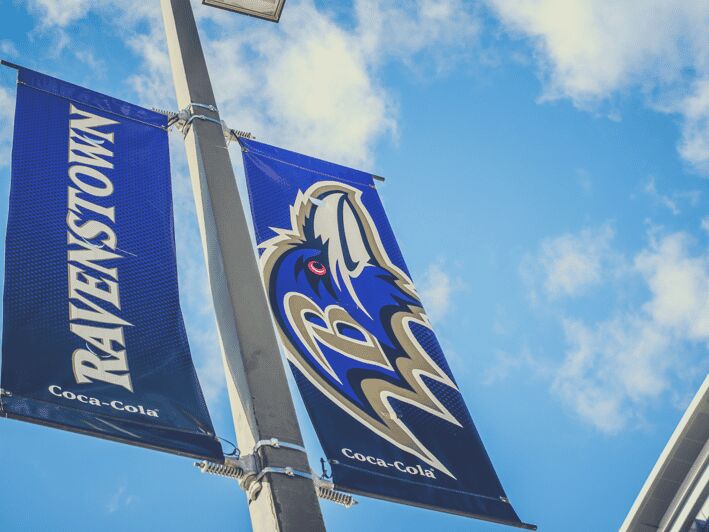 Baltimore: Ravens Football Game Ticket at M&T Bank Stadium - Practical Details