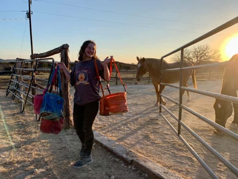 Bandera: Ranch Visit with Longhorns and Horses - The Detailed Itinerary