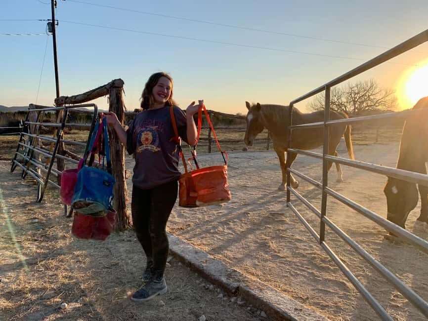 Bandera: Ranch Visit with Longhorns and Horses - The Detailed Itinerary