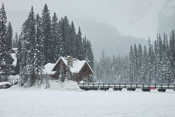 Banff and Yoho Winter Wonderland Private Tour - Who Will Enjoy This Tour?