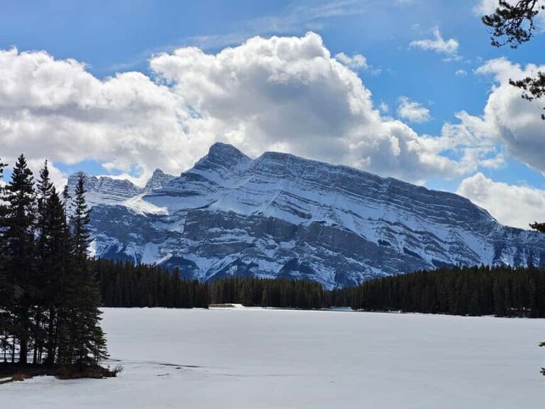 Banff and Yoho Winter Wonderland Private Tour - Final Thoughts