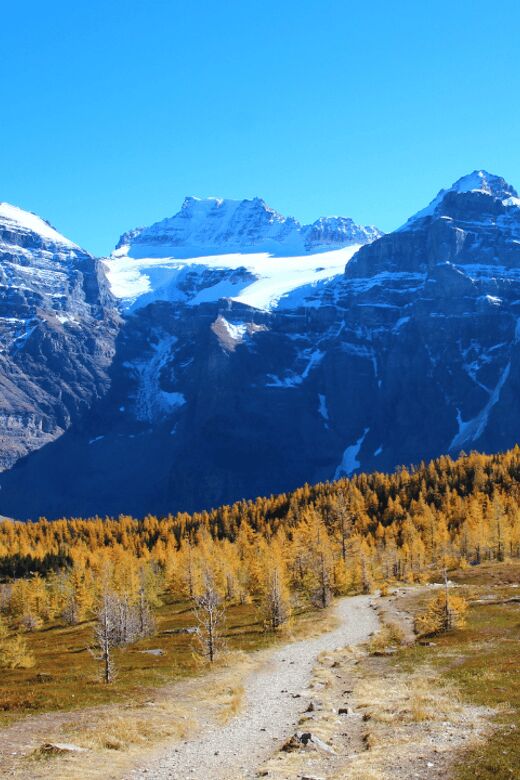 Banff/Canmore: Larch Valley & Moraine Lake - Authentic Experiences and Real-World Feedback