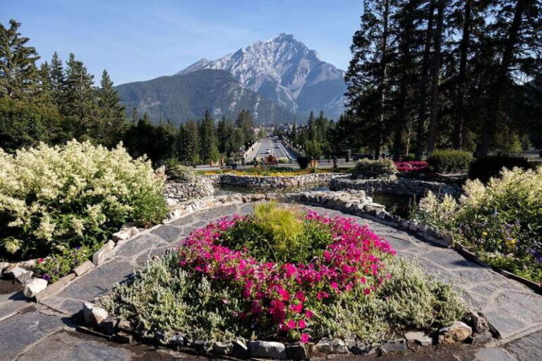 Banff: Edible and Medicinal Plants Nature Walk - Deep Dive into the Details
