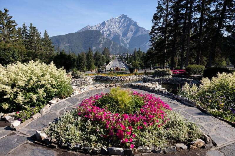 Banff: Edible and Medicinal Plants Nature Walk - Deep Dive into the Details