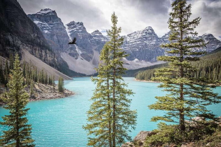 Banff: Experience Moraine, Louise & Peyto Lakes (2 Days) - Who This Tour Is Best For