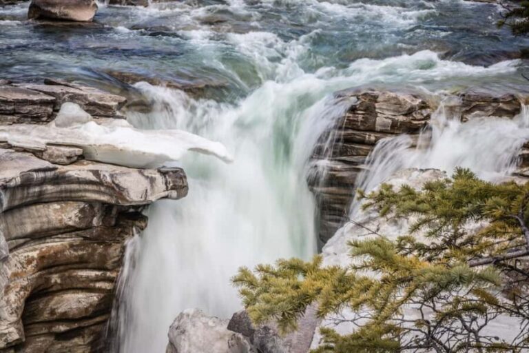 Banff: Explore Banff & Jasper National Parks (4-Days) - What Travelers Can Expect