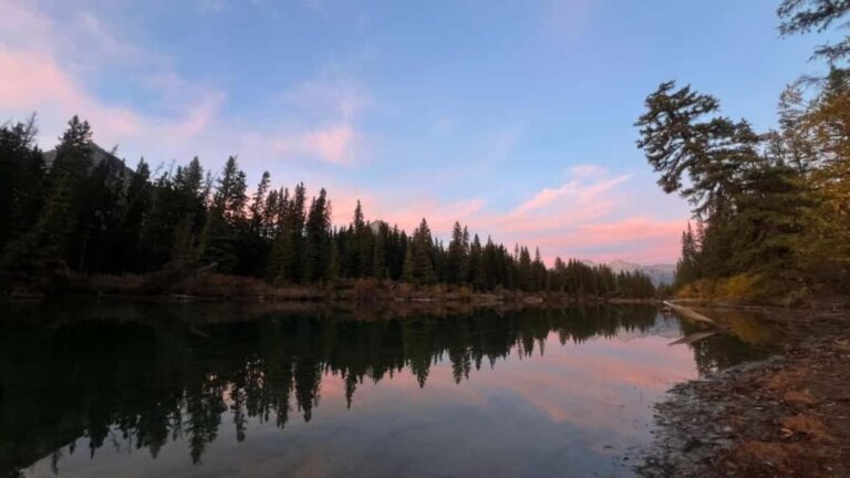 Banff: Grizzly Bear & Nature Walk & Hidden Gem Sunset Tour - A Deep Dive Into the Experience
