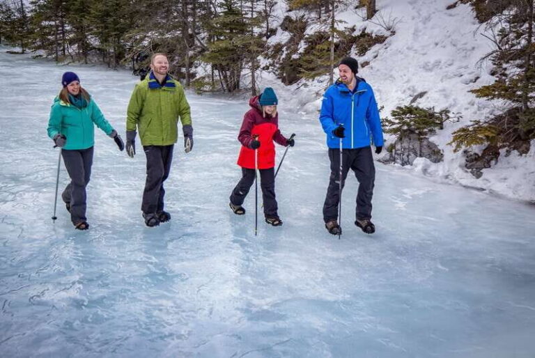 Banff: Grotto Canyon Icewalk - Why This Tour Offers Great Value
