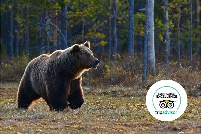 Banff Highlights & Wildlife | Award-Winning Small Group Adventure - Transportation and Comfort