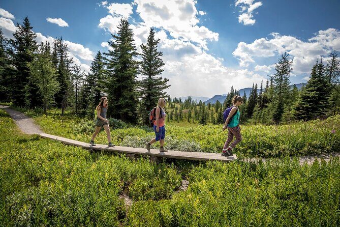 BANFF Medicinal and Edible Plants Nature Walk - 2 Hours - What Past Participants Say