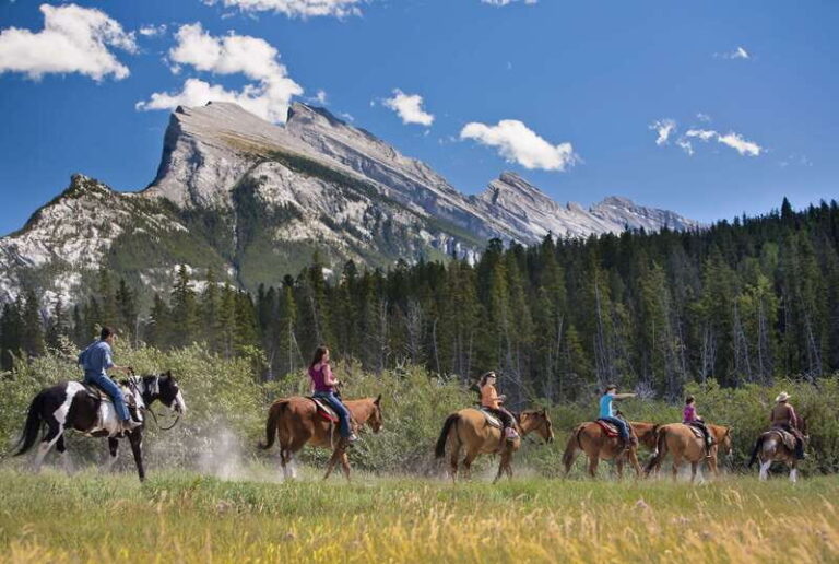 Banff National Park: 2-Hour Sundance Loop Horseback Ride - Wildlife and Nature – What You Might See